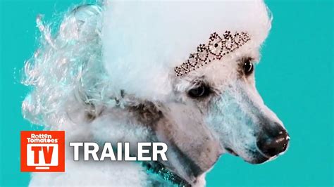 alluc haute dog|Haute Dog Season 1 Trailer .